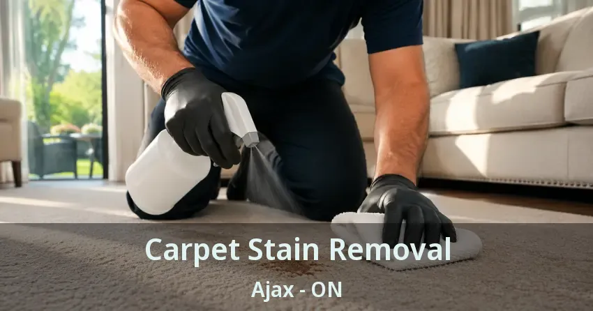 Carpet Stain Removal Ajax - ON