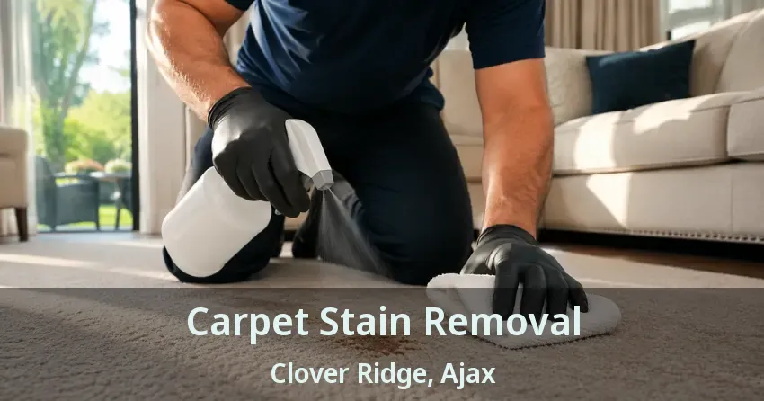 Carpet Stain Removal Clover Ridge, Ajax - ON