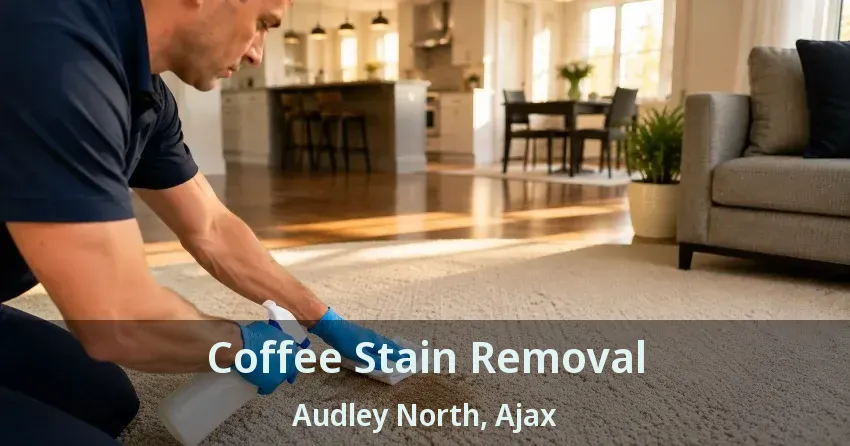 Coffee Stain Removal Audley North, Ajax - ON