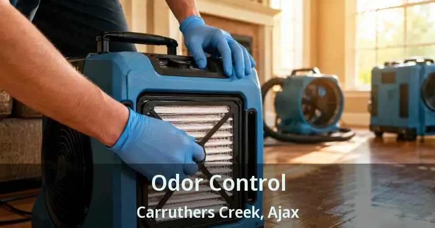 Odor Control Carruthers Creek, Ajax - ON