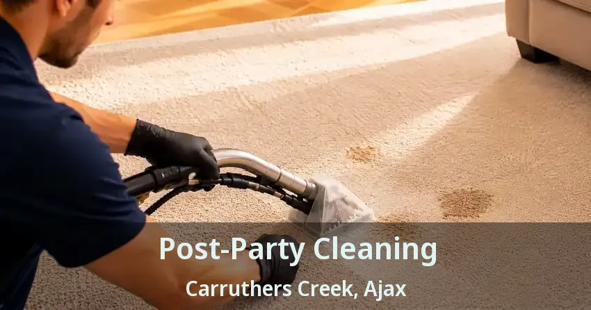Post-Party Cleaning Carruthers Creek, Ajax - ON
