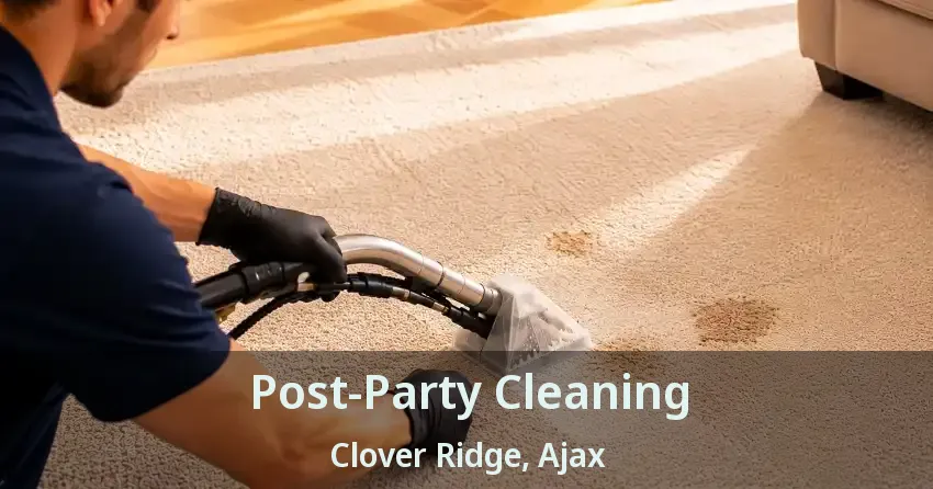 Post-Party Cleaning Clover Ridge, Ajax - ON