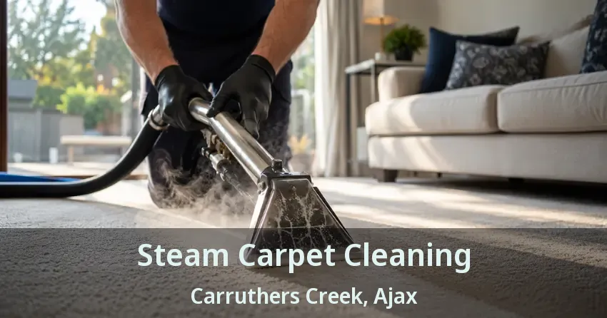 Steam Carpet Cleaning Carruthers Creek, Ajax - ON