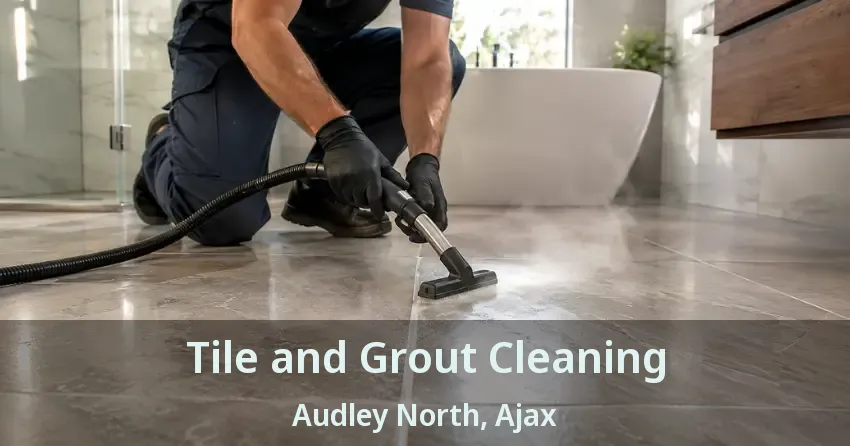 Tile and Grout Cleaning Audley North, Ajax - ON