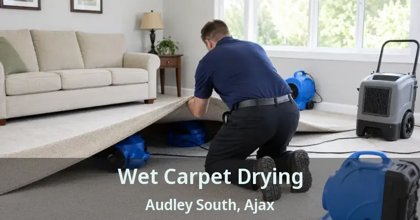 Wet Carpet Drying Audley South, Ajax - ON